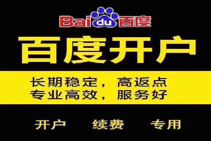 SEM推广优化策略：实战案例分析